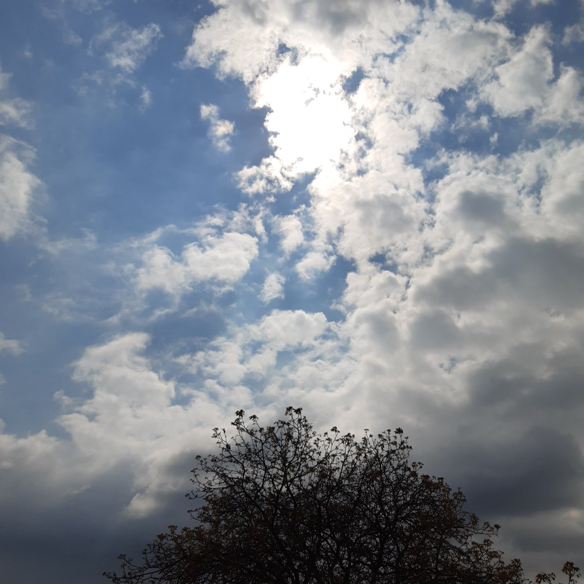 Pardubice