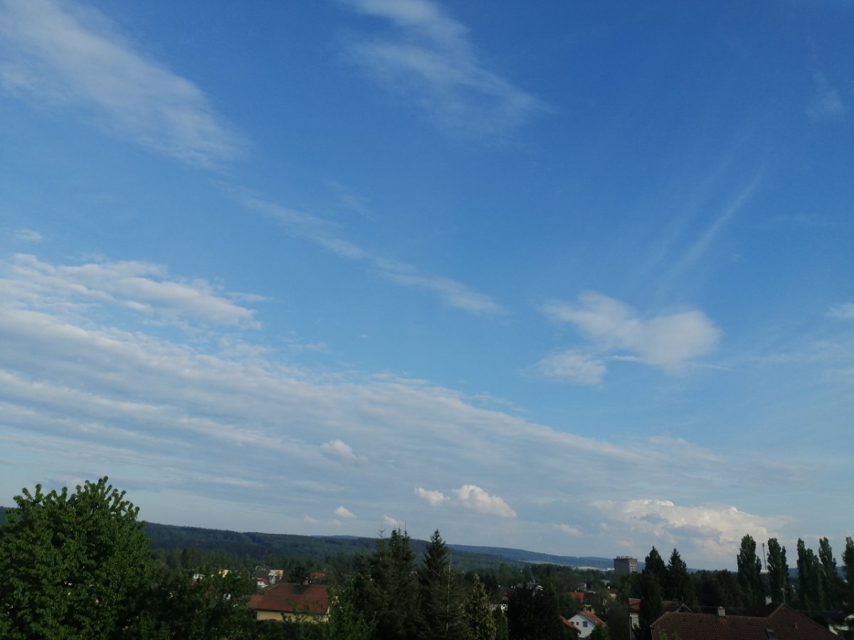 Dýšina
