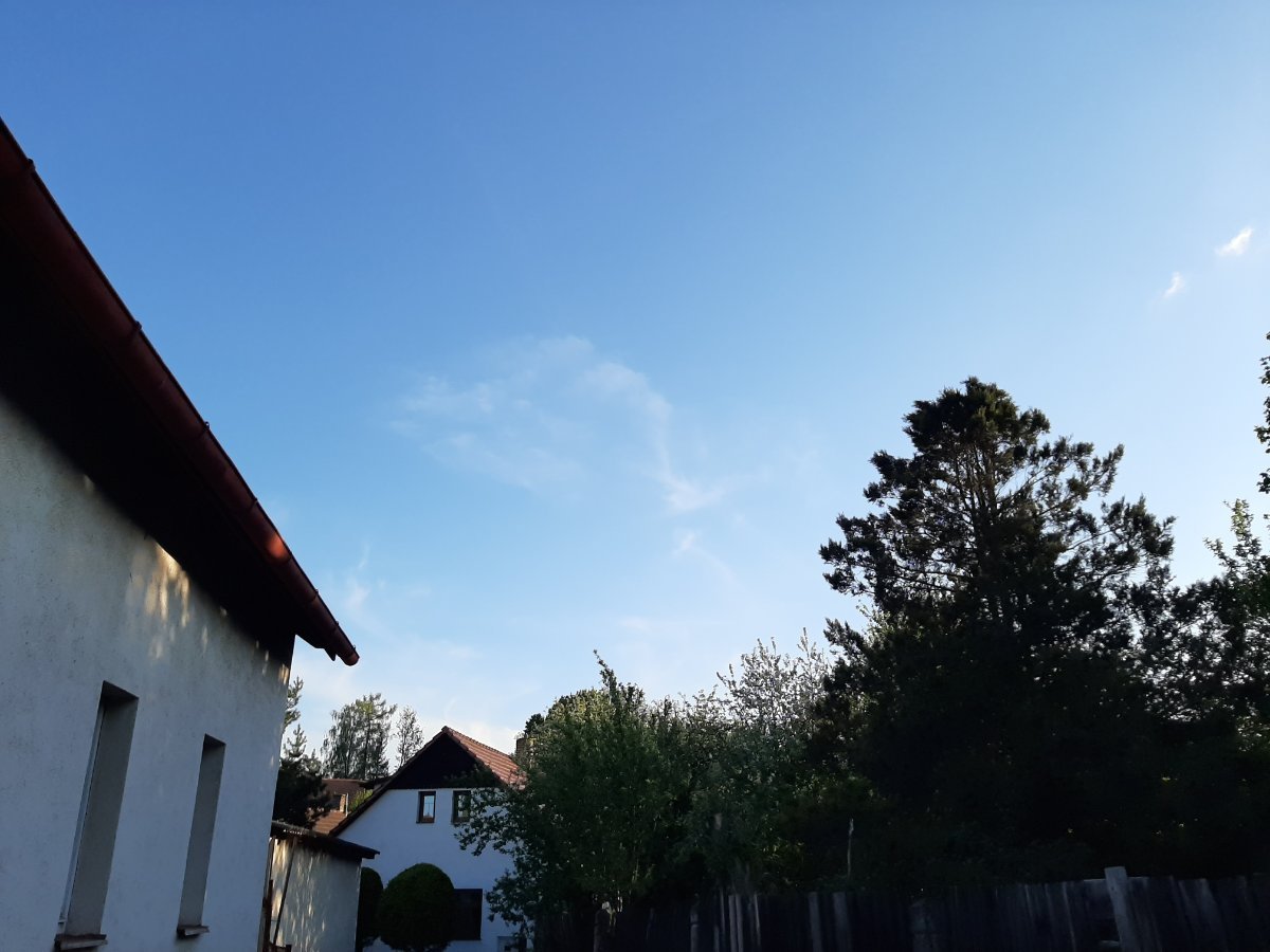 Olešná