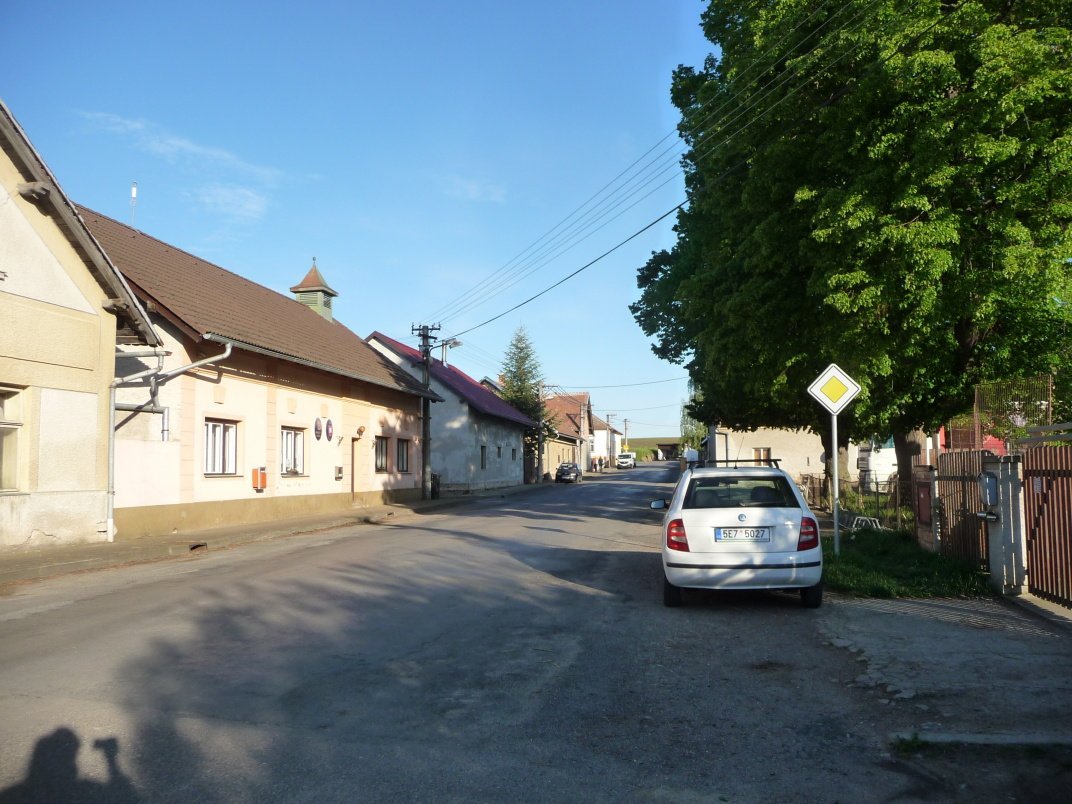 Třibřichy