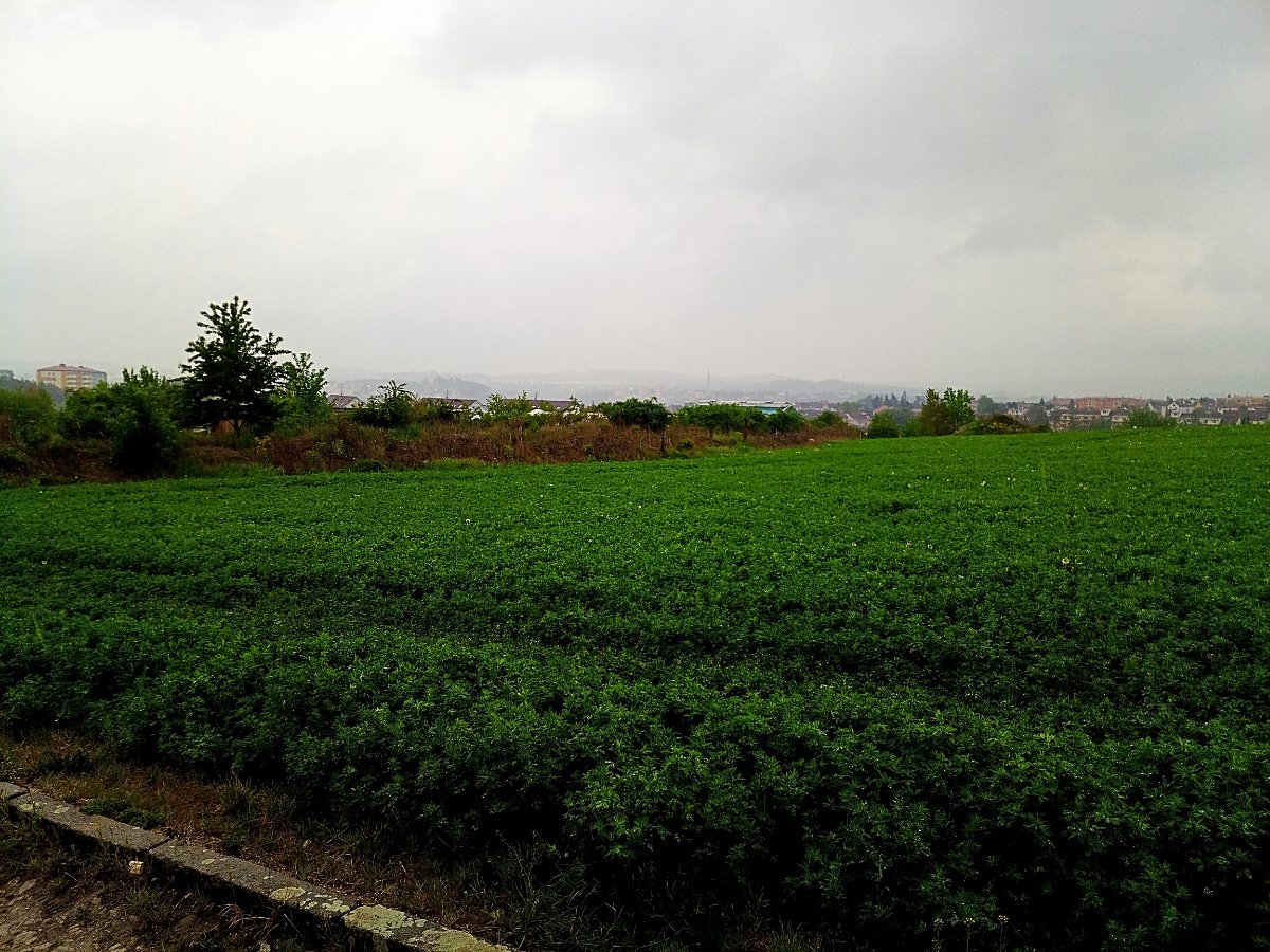 Třebíč-Týn