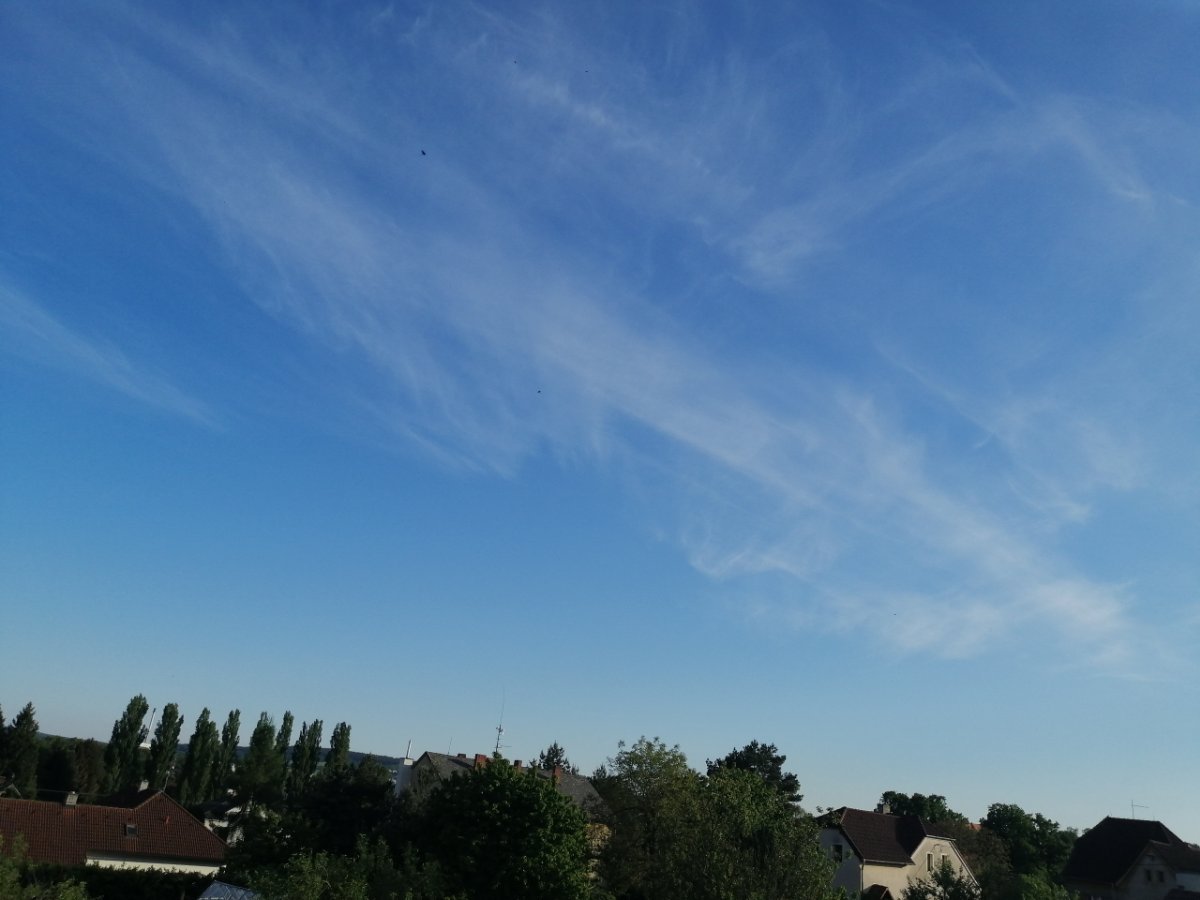 Dýšina