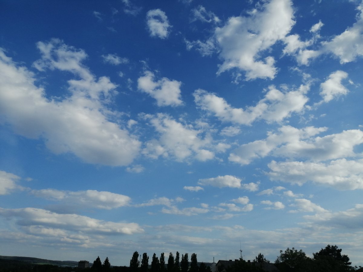 Dýšina
