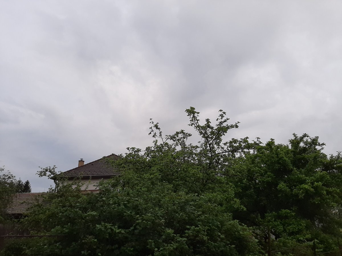 Olešná