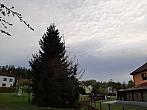 Olešná