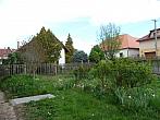 Třibřichy