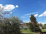 Olešná