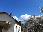 Olešná