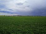 Císařov