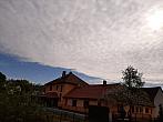 Olešná