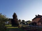 Olešná