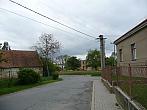 Třibřichy