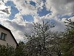 Olešná