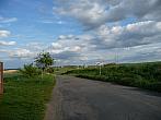 Třibřichy