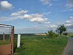 Třibřichy