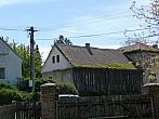 Třibřichy