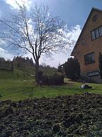 Skalité