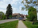Třibřichy