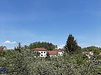Olešná