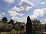 Olešná