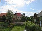 Třibřichy