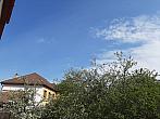 Olešná