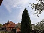 Olešná