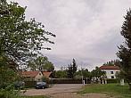 Olešná