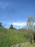 Skalité