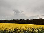 Pacov