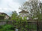 Třibřichy