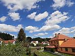 Olešná