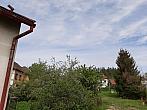 Olešná