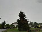 Olešná