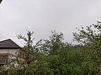 Olešná