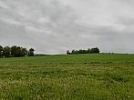 Pacov