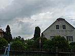 Třibřichy