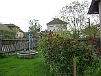 Třibřichy