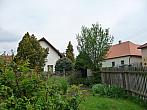 Třibřichy