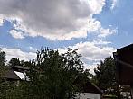 Olešná