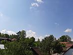 Olešná
