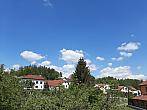 Olešná