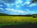 Kladno