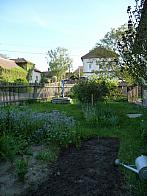 Třibřichy