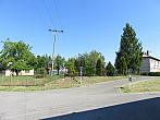 Třibřichy