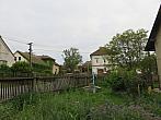Třibřichy