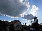 Třibřichy