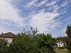 Olešná