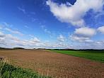 Hostákov