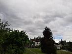 Olešná